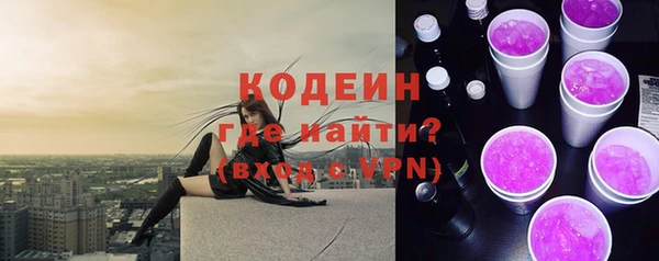 индика Пестово