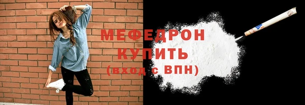индика Пестово