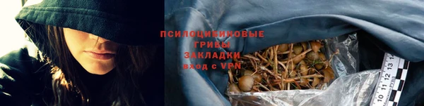 бошки Алзамай
