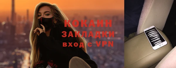 СК Алексин