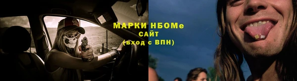 СК Алексин