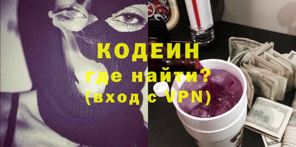 индика Пестово
