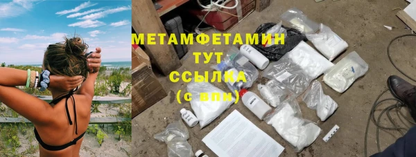 индика Пестово