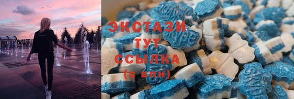 СК Алексин