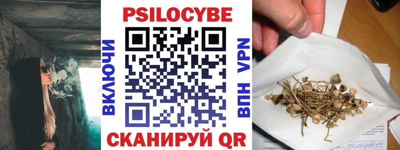 Галлюциногенные грибы прущие грибы  Апатиты 